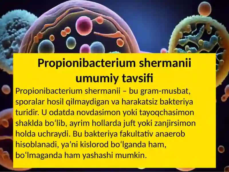Propionibacterium shermanii 4