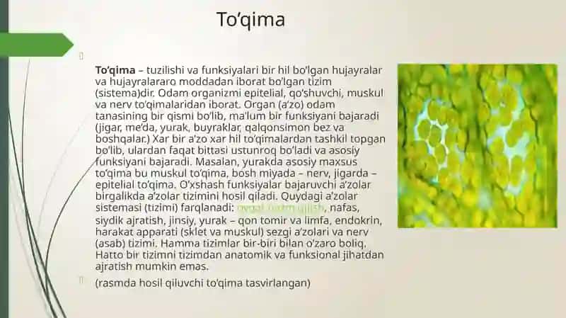 Hujayra va To`qima Fizologiyasi 4