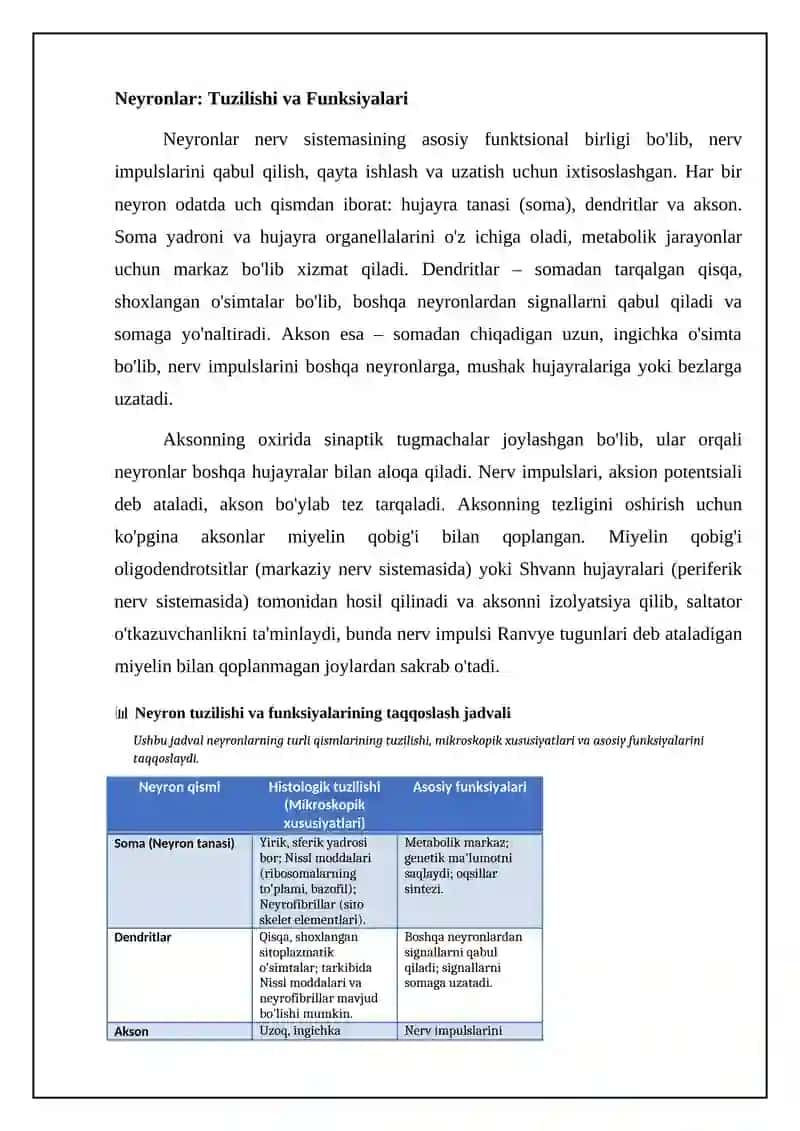 Nerv to'qimasi gistologiyasi 4