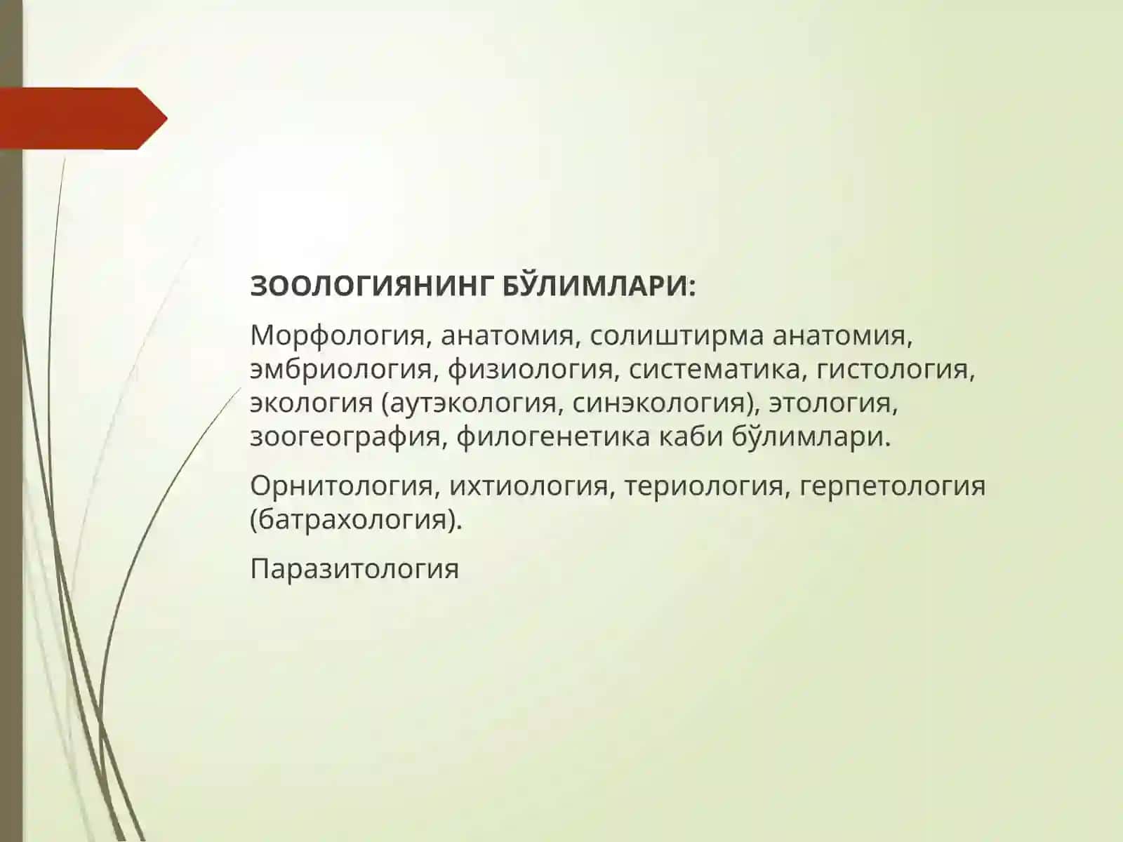 Хордалиларнинг систематикаси 4