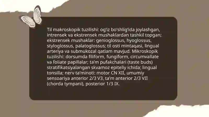 Ovqat hazm qilish aʼzolari tuzilishi 4