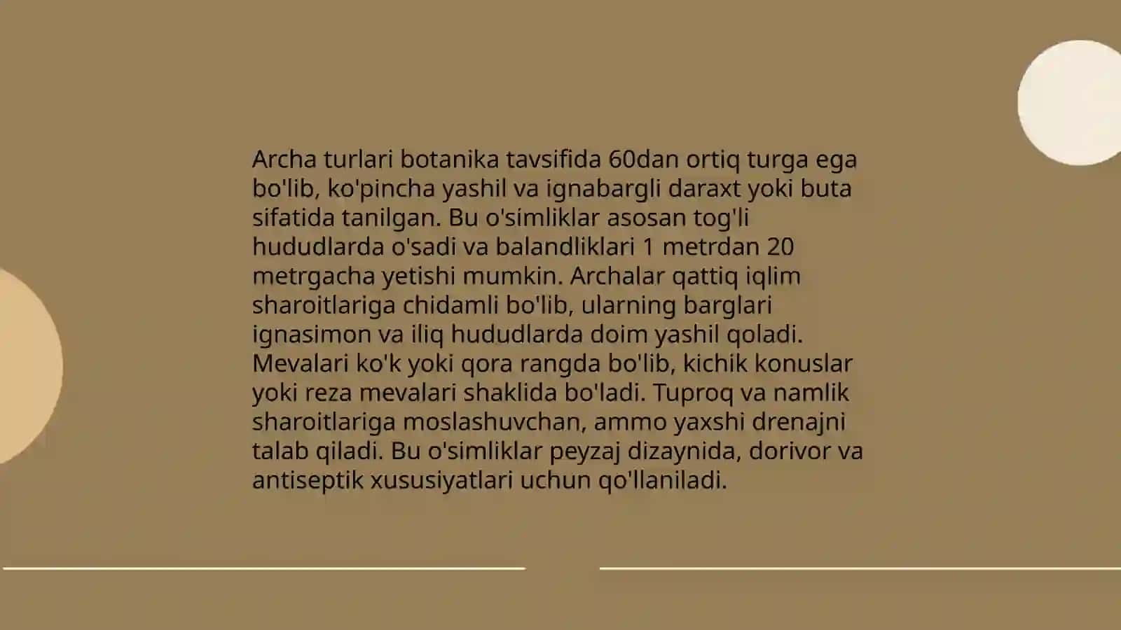 Archa turlari 4