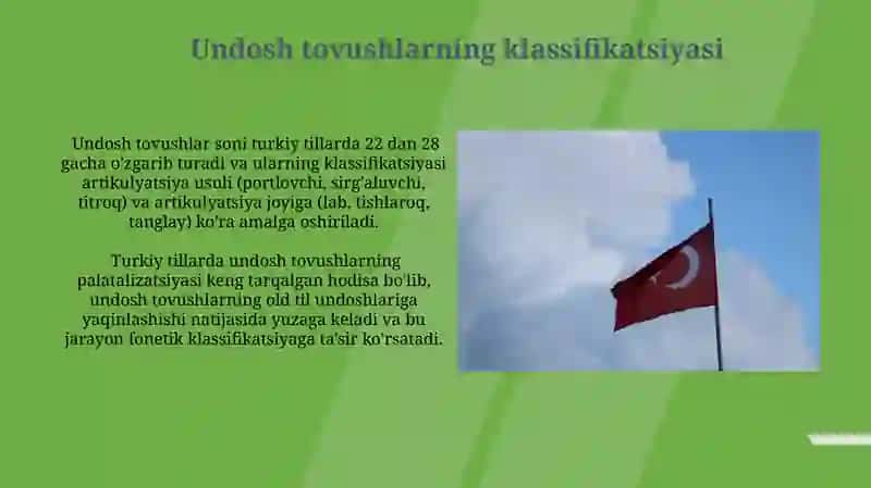 Turkik tillar tasnifidagi fonetik tamoyillar 4