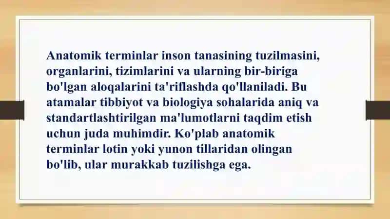 Anatomik terminlar 4