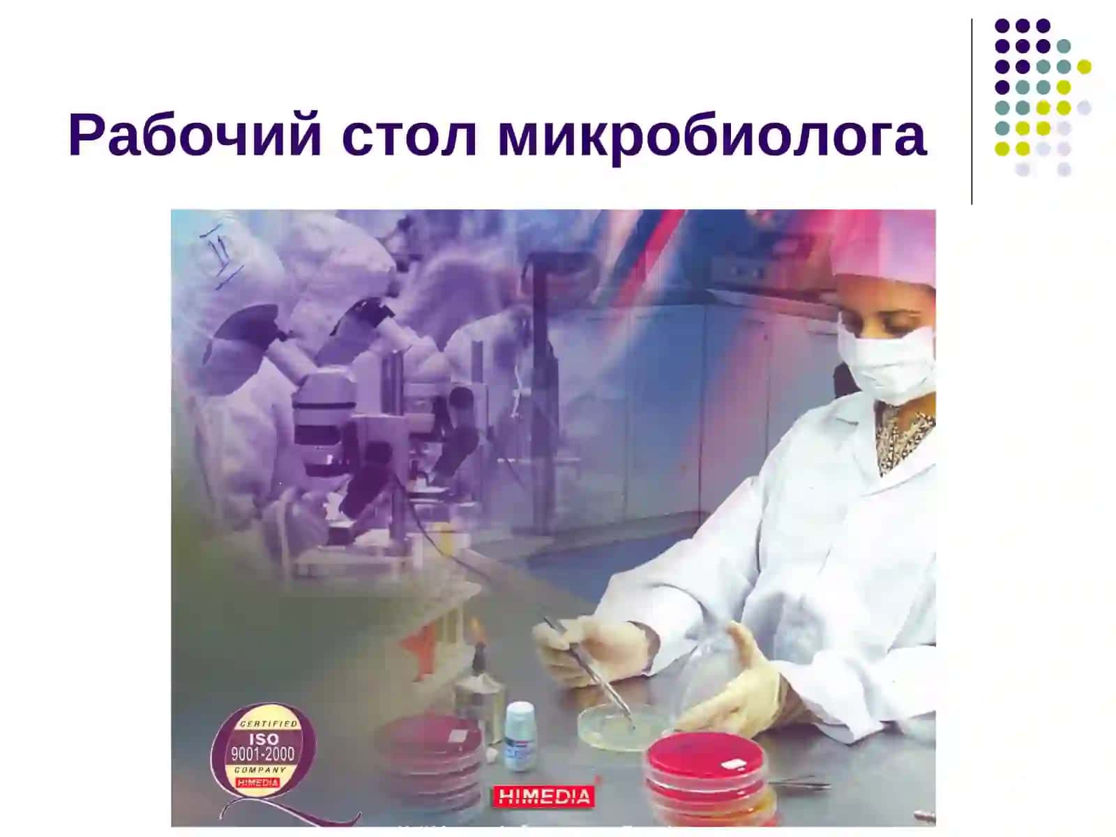 Физиология микроорганизмов 4