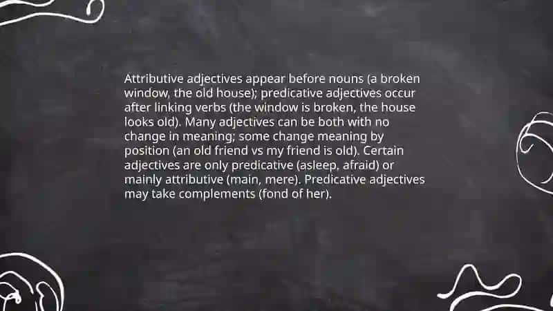 Adjectives 4