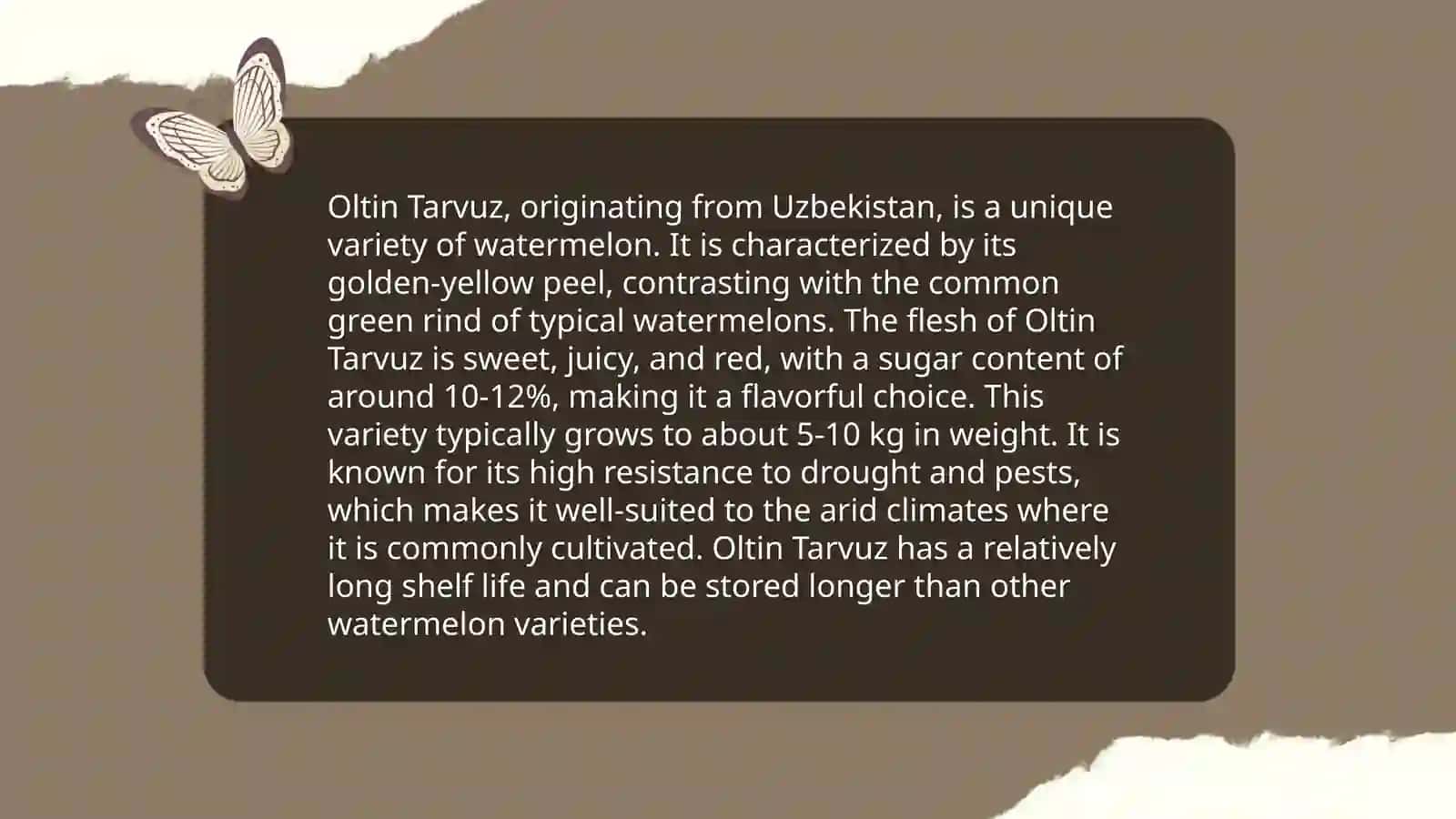 Oltin Tarvuz 4