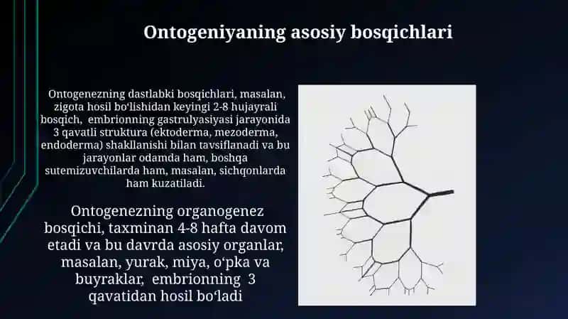 Ontogenez. Azolar ontogenez-fillogenez 4