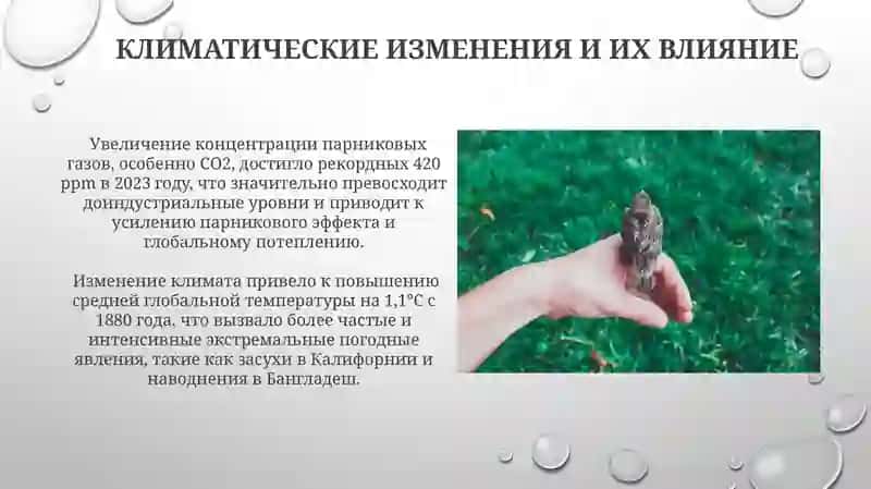 Человек и природа 4
