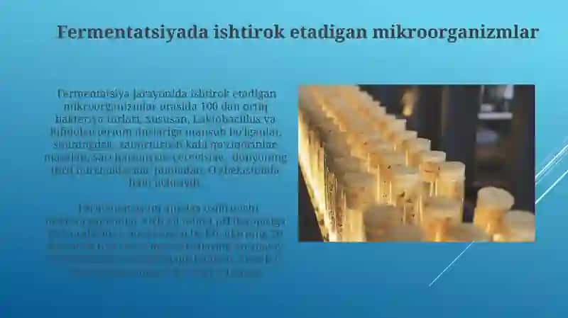 Fermentatsiya jarayoni va uning mikrobiologik asoslarini oʻrganish 4