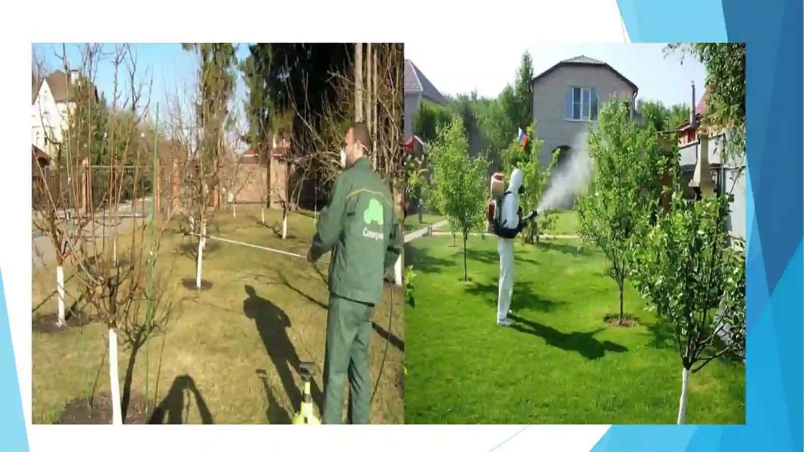 Bialogik kurash usullari bilan tanishish 4