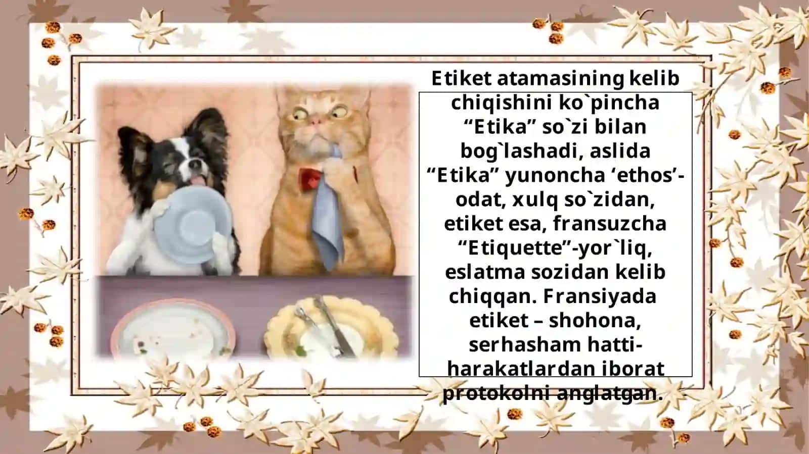 Xolboyeva Muhabbatning Etiket fanidantaqdimoti 4