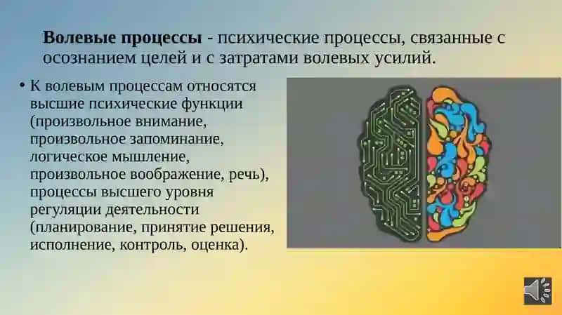Волевые качество человека 4