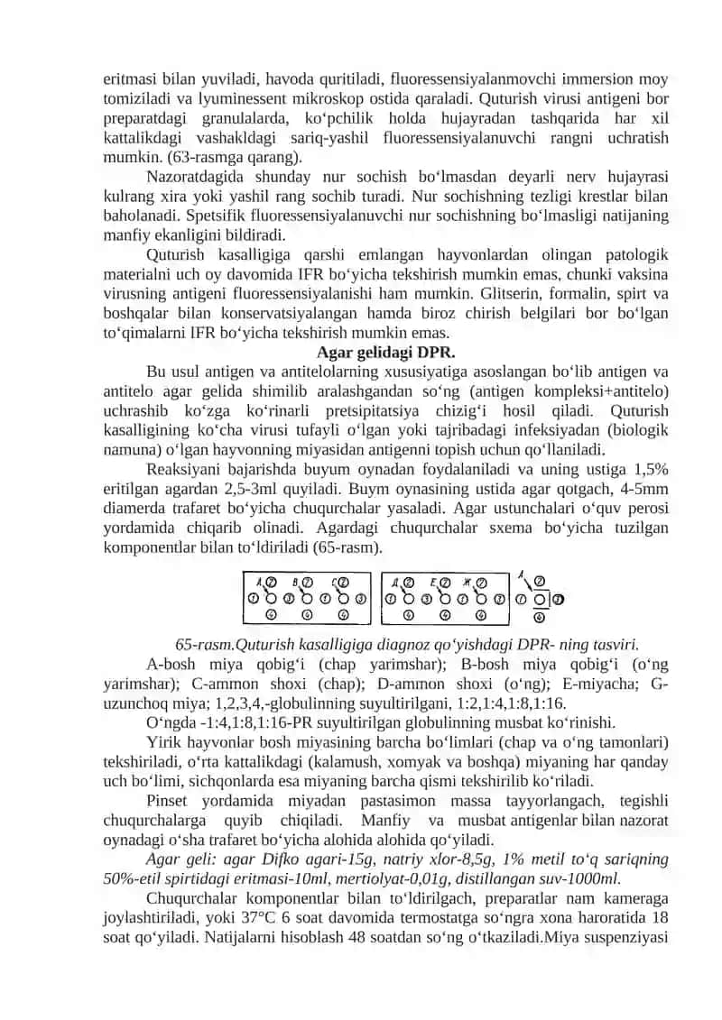 Laboratoriya mashg'uloti "Quturish kasalligiga laboratoriyada diagnoz qo‘yish" 4