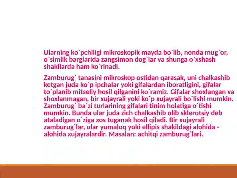 Zamburug`lar haqida umumiy tushuncha 4