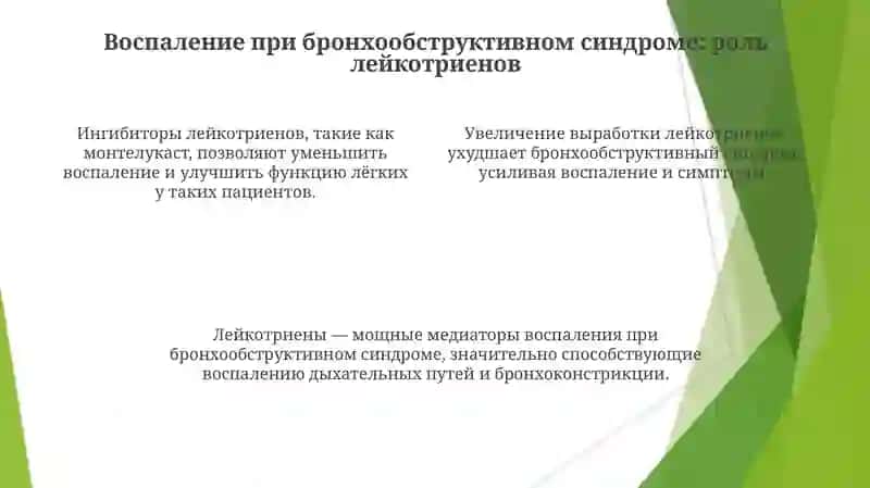 РОЛЬ ЛЕЙКОТРИЕНОВ В РАЗВИТИИ БРОНХООБСТРУКТИВНОГО СИНДРОМА 4