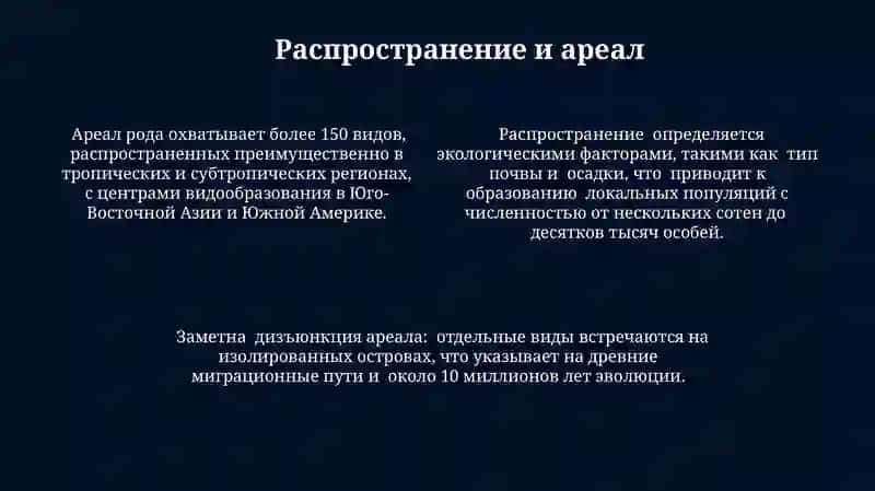 Род 4
