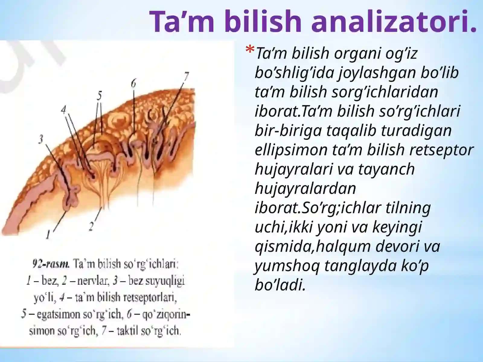 Hidva ta’m bilish analizatorlari 4