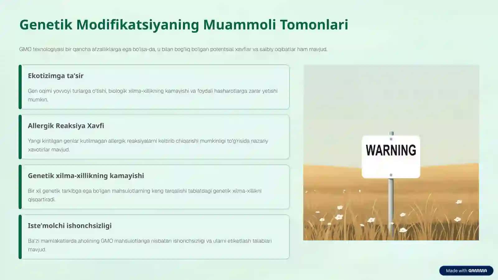 GMO Makkajo‘xori 4