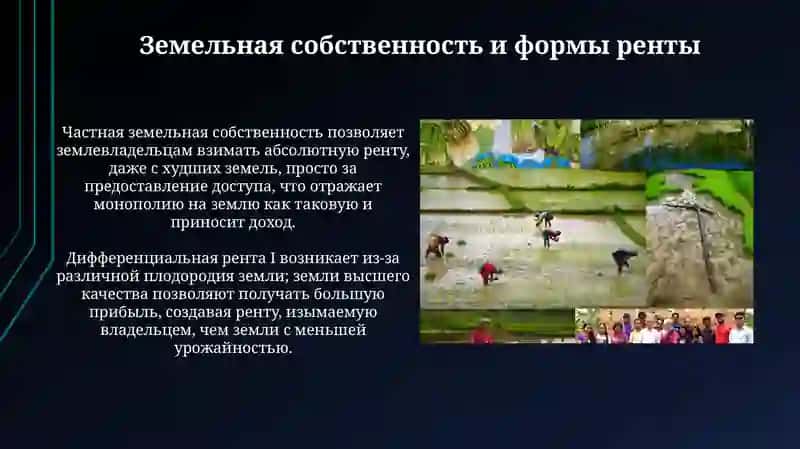 Аграрные отношения и теория ренты 4