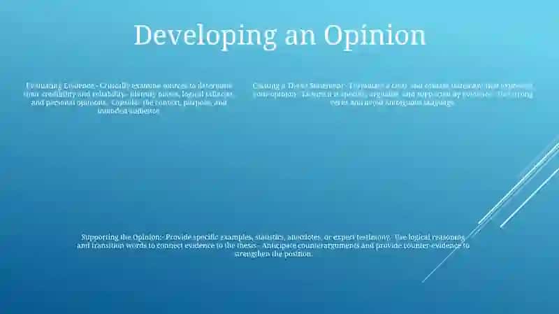 Opinion Essay 4