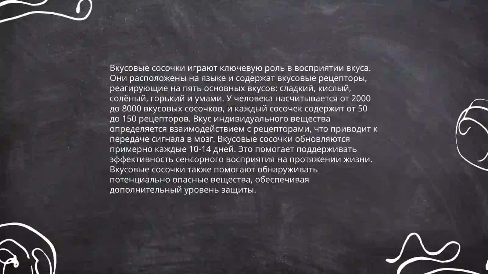 Морфофункциональная характеристика органа вкуса 4