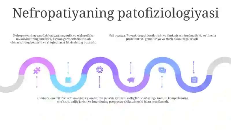Nefropatiya, Glomerulonefrit, OʻTkir Va Surunkali Buyrak Yetishmovchiligi. Pielonefrit. Nefrotserroz.Patomorfologiyasi 4