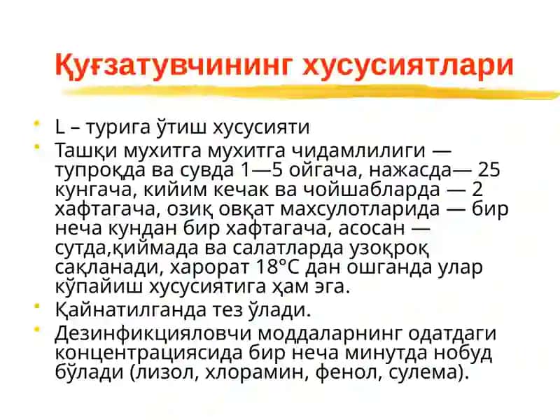 Ич терлама –қорин тифи (typhus abdominalis)Qorintifi,AvaVparatiflarnisalmonellachaqiradi 4