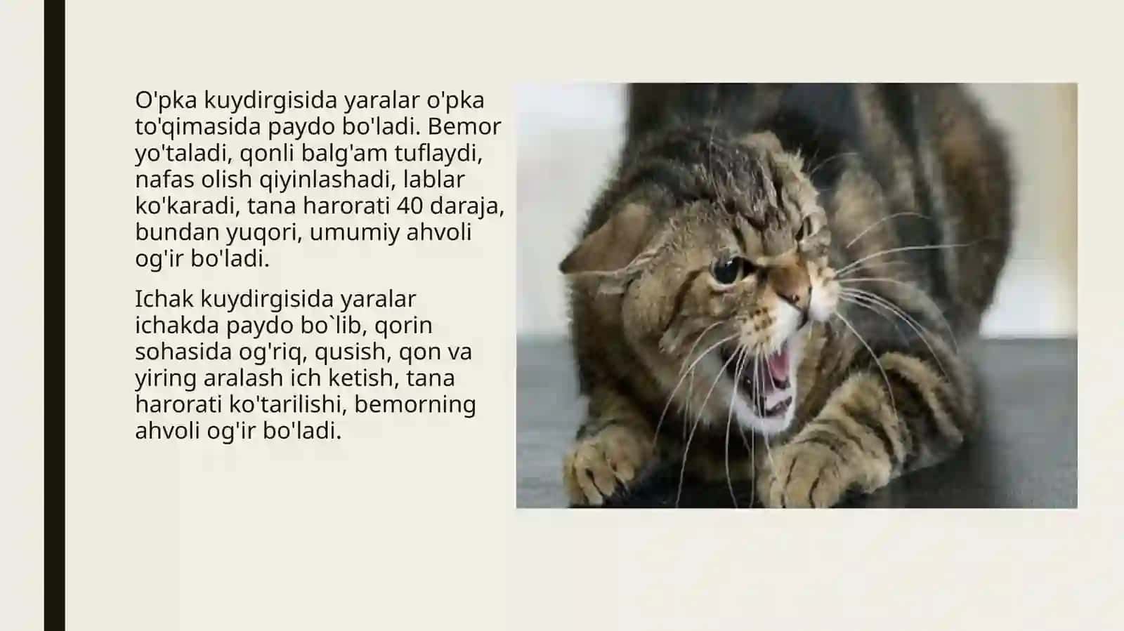 Antropozoonozlar(qutirish) antropozoonozinfeksiyalar 4
