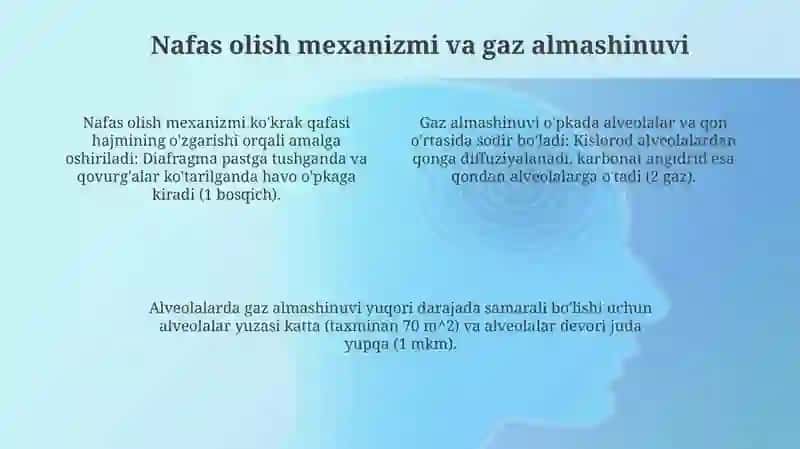 Nafas Olish Tizimi 4