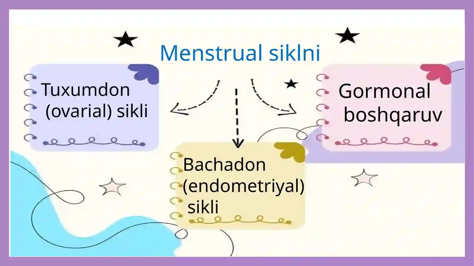 menstural sikl va ovulatsiya 4