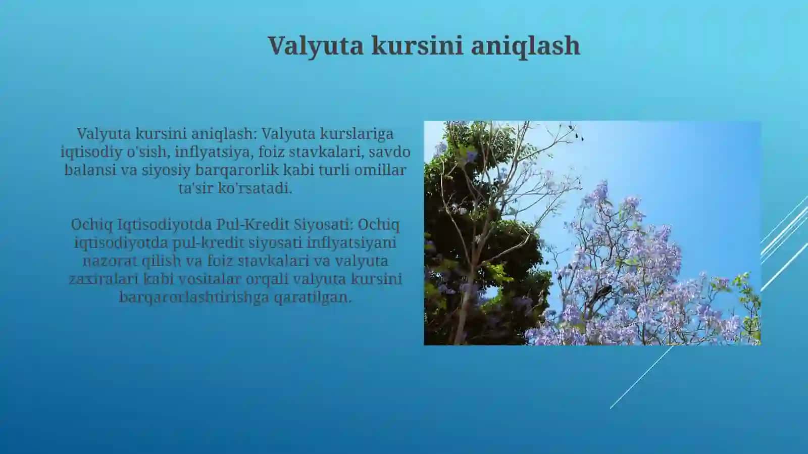 Ochiq Iqtisodiyyotda Pul-Kredit Siyosati 4