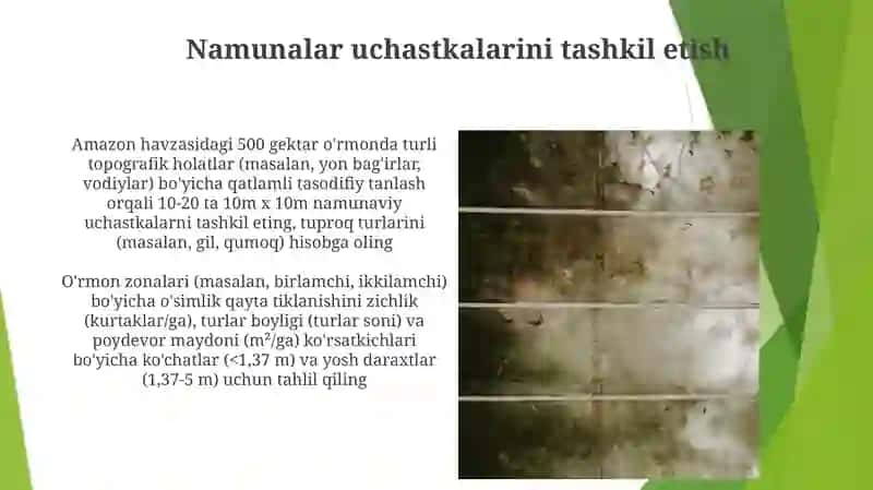 Kelajakdagi Regeneratsiyani Bashorat Qilish 4