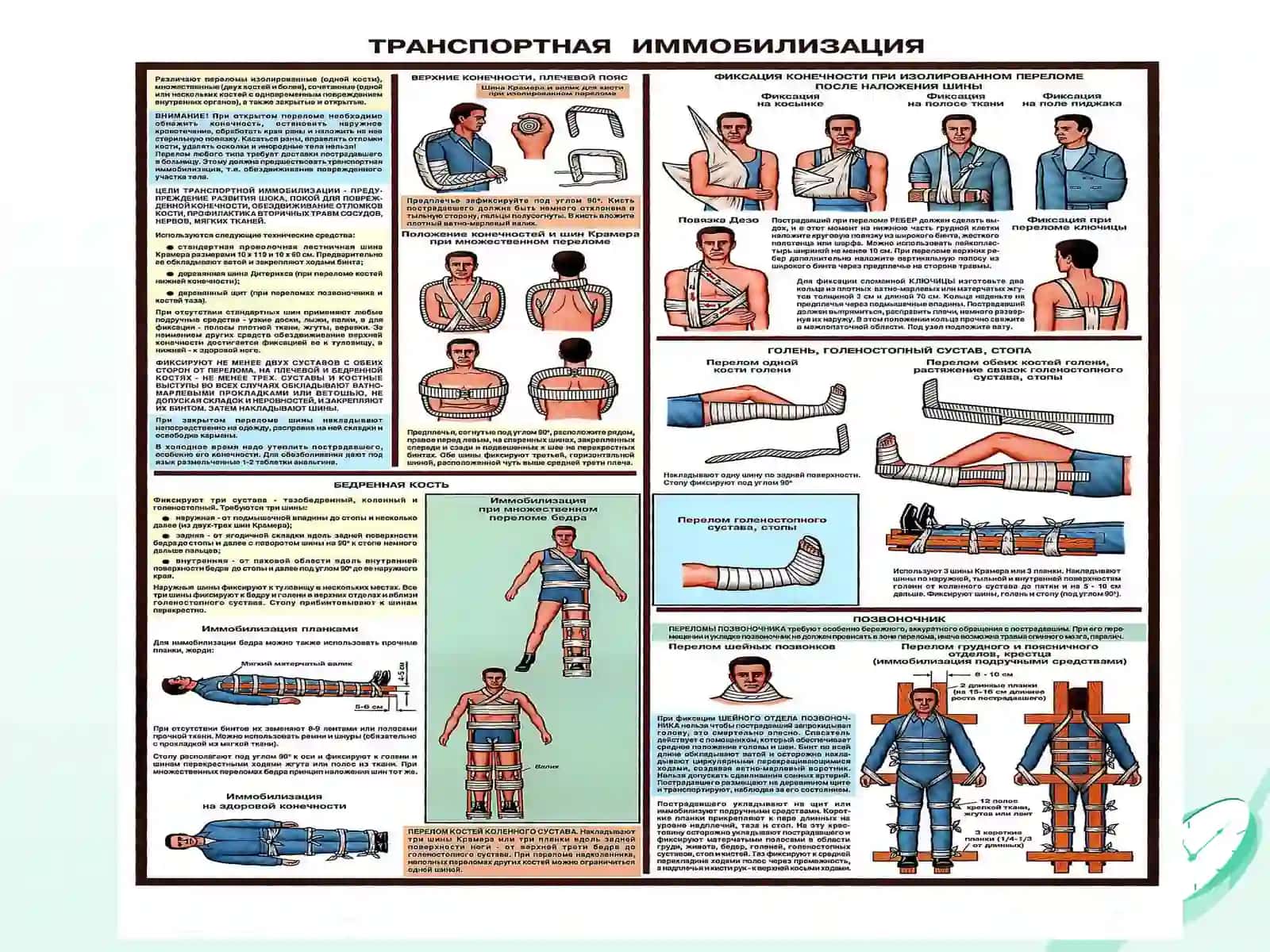 Transport immobilizatsiyasi. Yatrogeniya. Termik shikastlanishlar 4