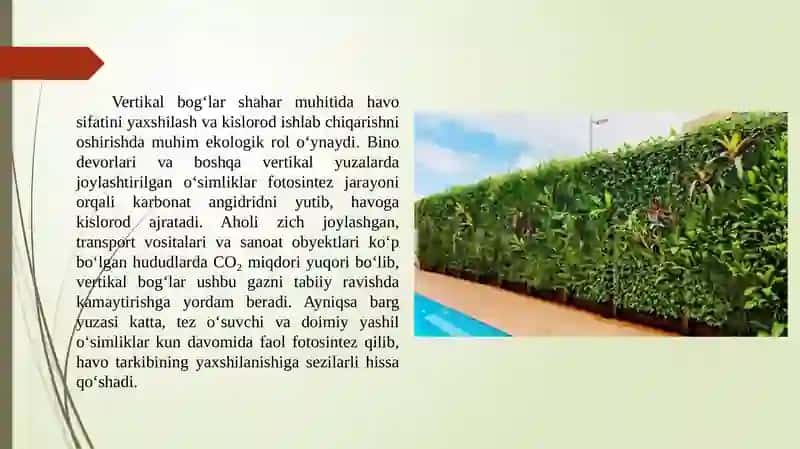 Vertikal bog'larni ekologik ahamiyati 4
