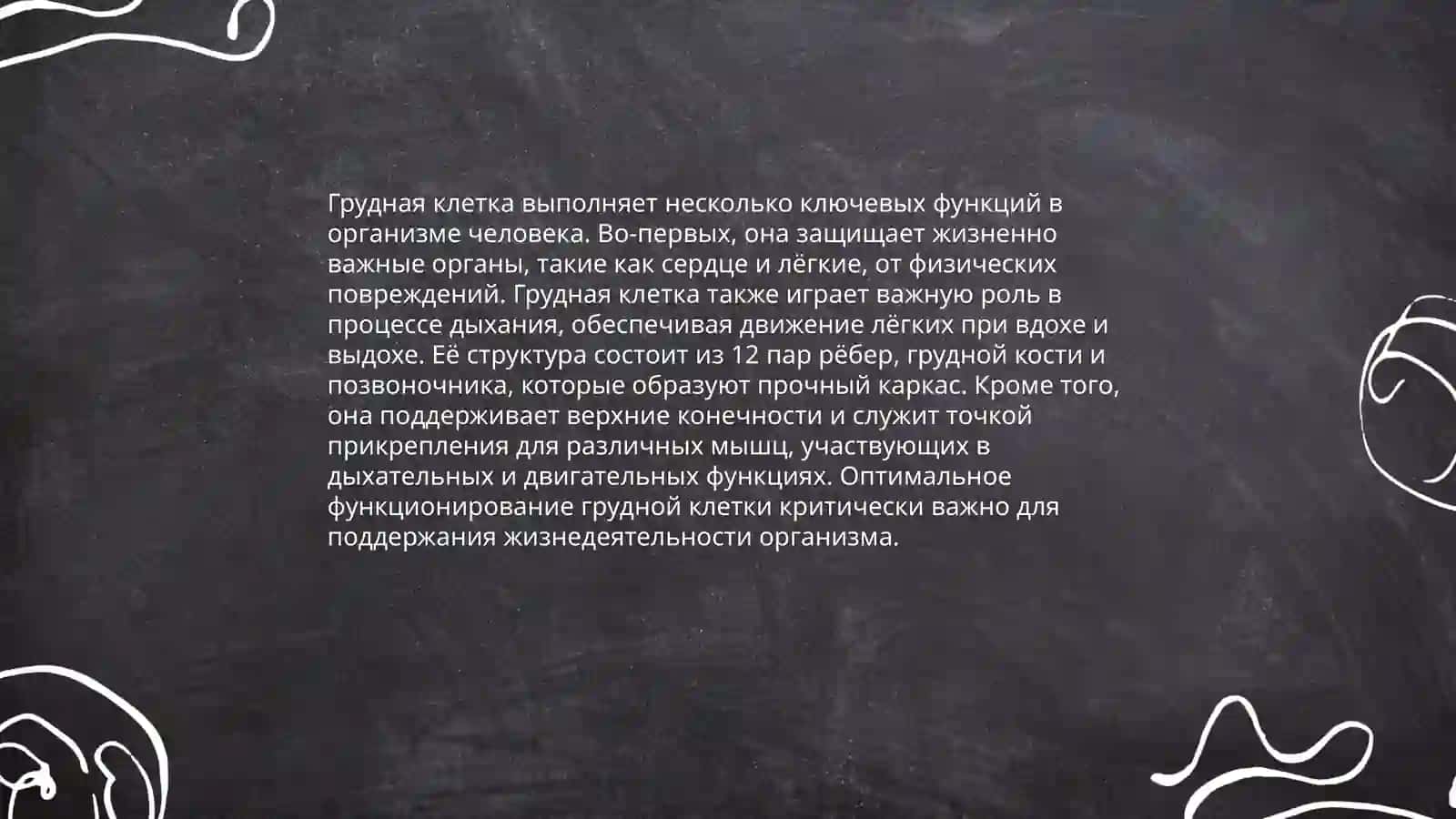 Скелет туловища. Система органов дыхания 4