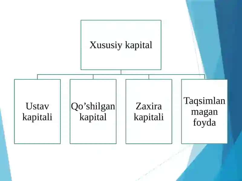 Xususiykapital Audit 4