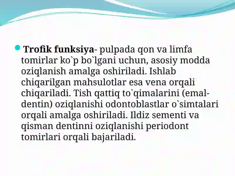 Tish pulpasi 4