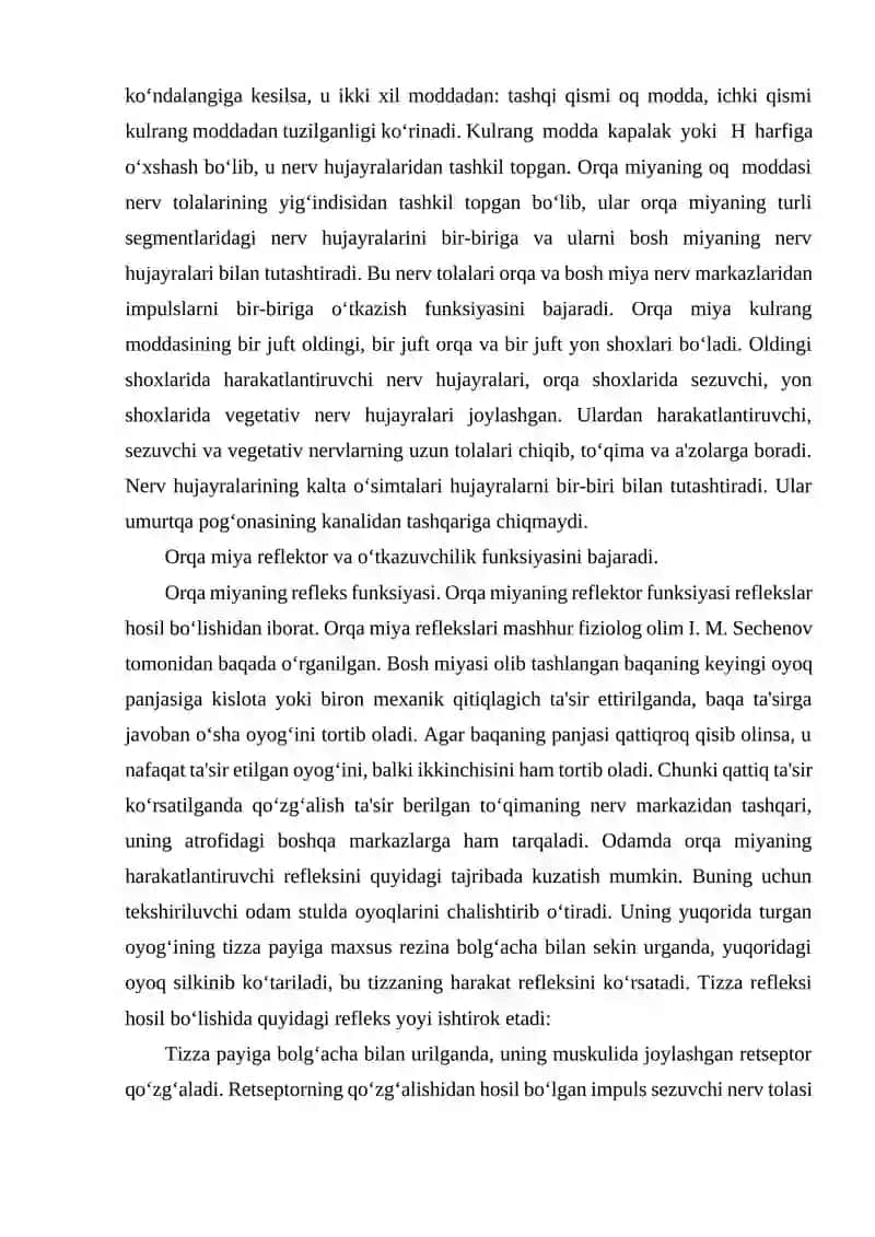 Orqa miyaning tuzilishi 4