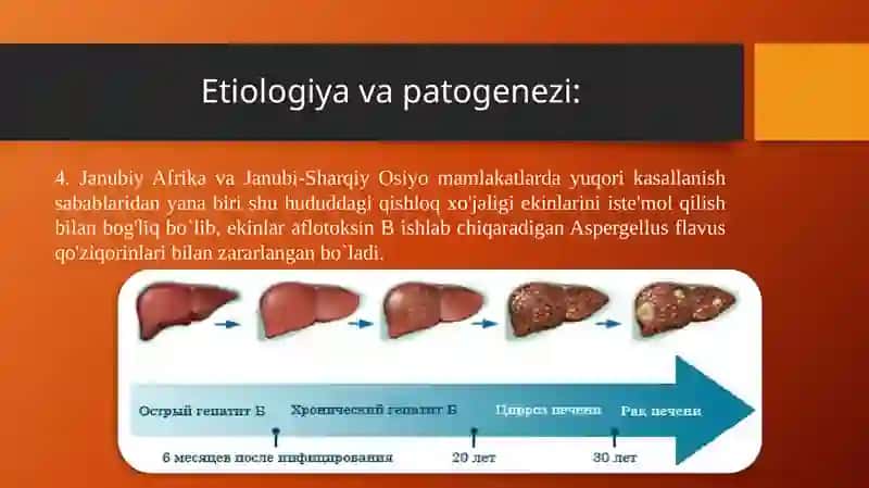 Gepatobiliar joylashuvchi o’sma 4