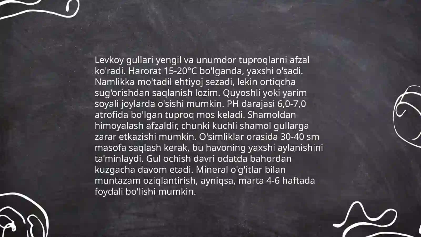 Levkoy gulining bioekologik xususiyati 4