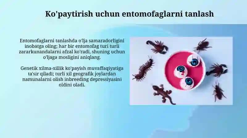 Entomofaglar: Ta'rif va ahamiyati 4