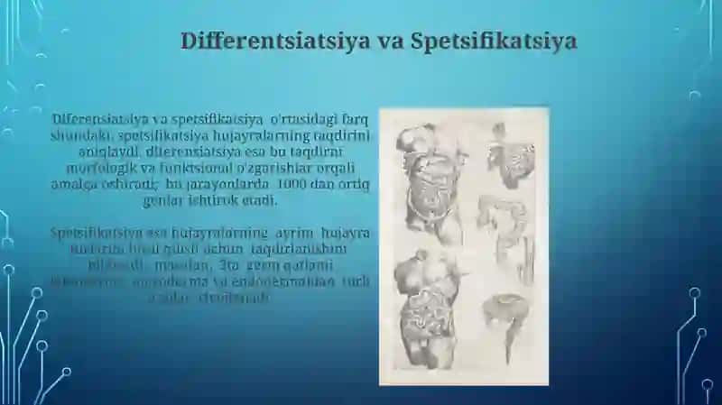 Gerontologiya 4