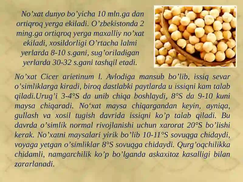 Dukkakli ekinlarni xalq xo’jaligidagi ahamiyati va tarqalishi 4