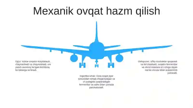 Oziq Moddalarning Inson Organizmida Hazm Bo‘Lishi 4