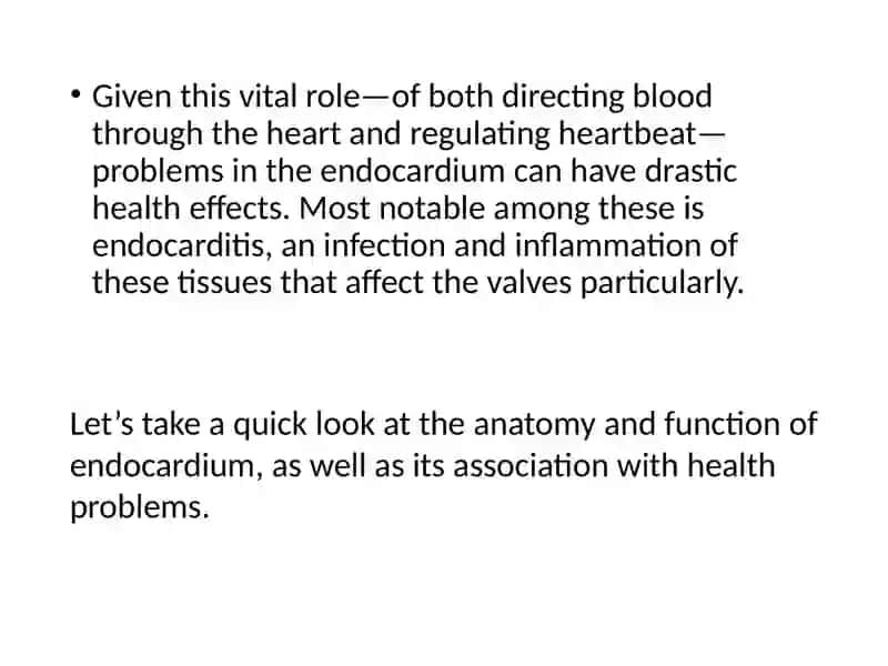 Endocardium 4
