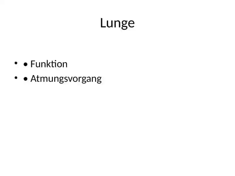 Innere Organe 4