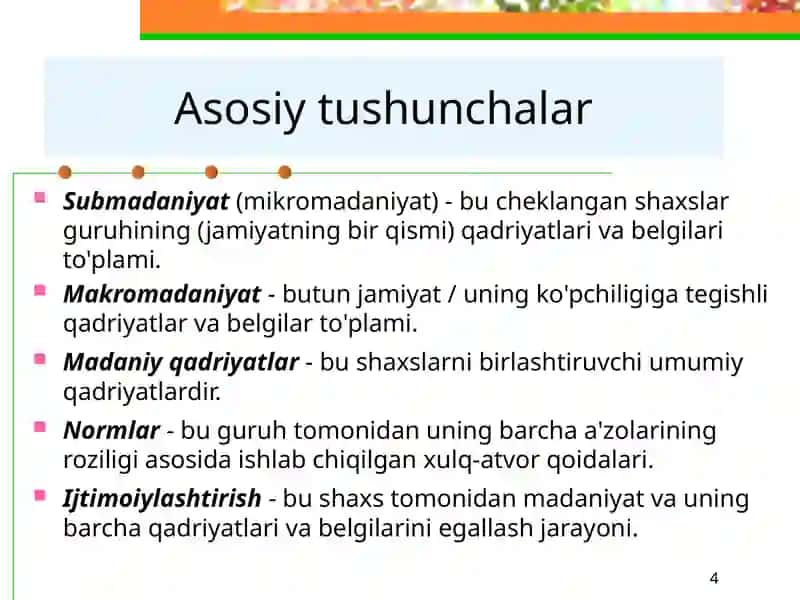 Madaniyat va submadaniyat, ijtimoiy tabaqalanish 4
