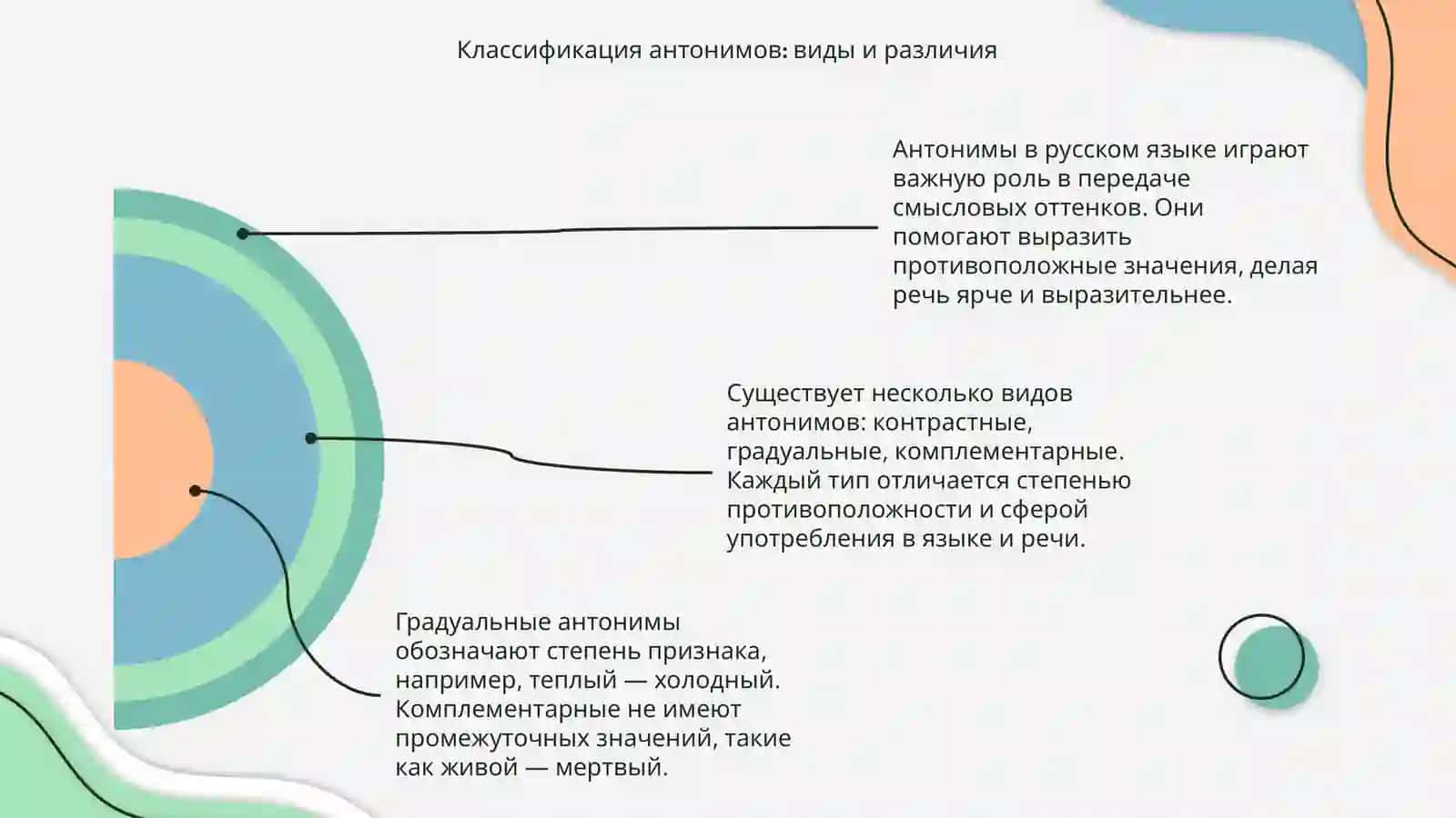 Антонимы в современном русском языке 4