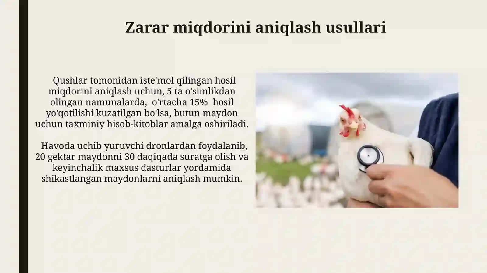 Qushlar va qishloq xoʻjaligi ekinlari hosildorligi bilan bo'gliq muammolar tahlili 4